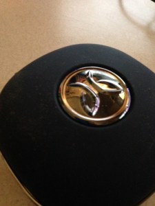 BlueBudsX carrying case