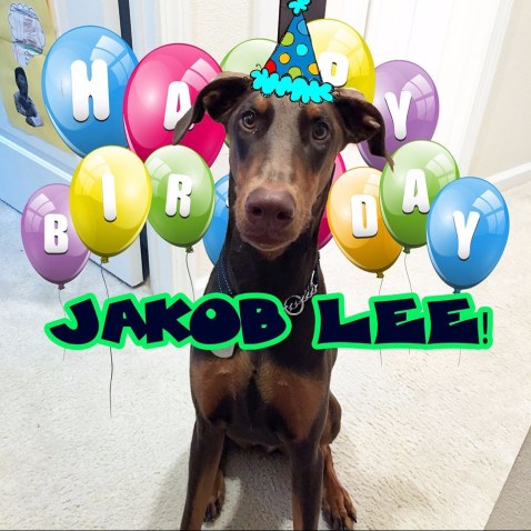 Jakob_1st birthday.jpg