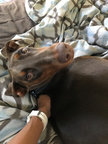 My Jake is a true sweetheart